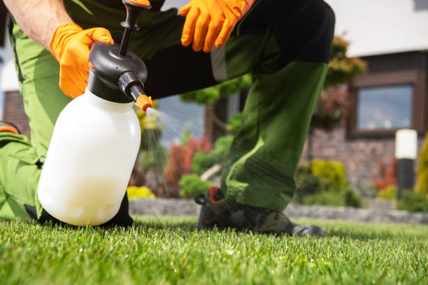 Best Local Pest Control Services  in Garner, IA