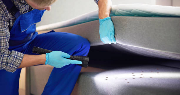 Best Best Pest Control Companies  in Garner, IA