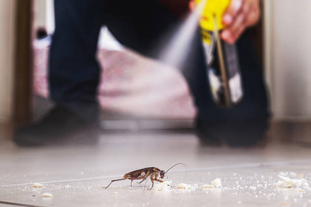 Best Flea Control Services  in Garner, IA