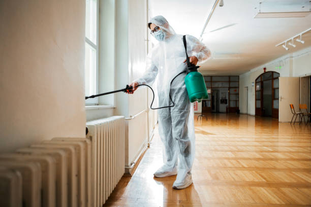 Best Cockroach Control Services  in Garner, IA