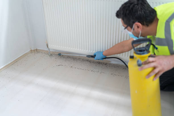 Best Pest Removal Services  in Garner, IA