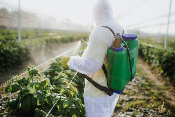 Best Affordable Pest Control Services  in Garner, IA